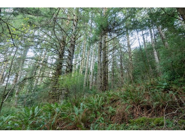 Sixes River Road Sixes, OR 97476 - Photo 9 of 9