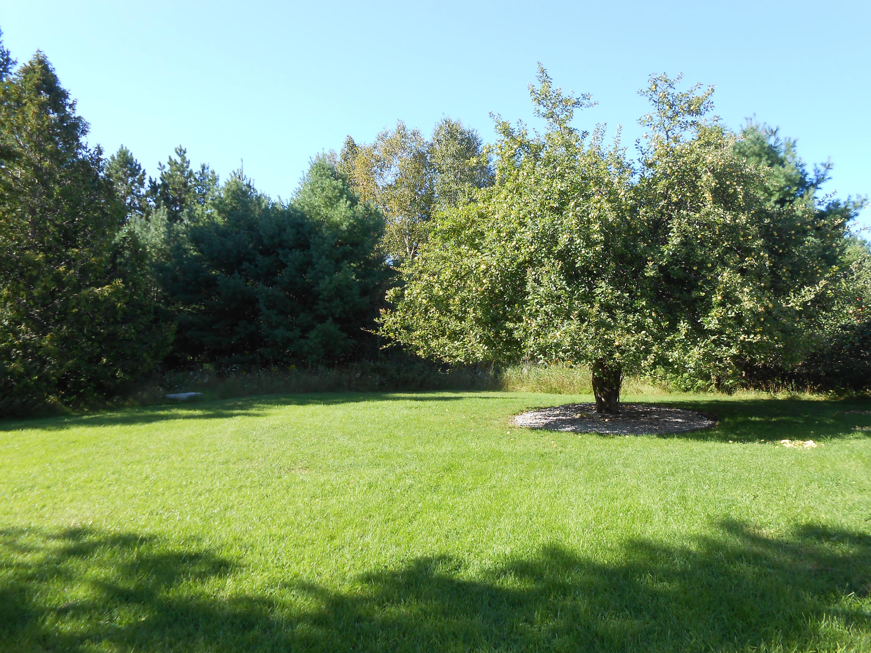7361 Haken Road Alpena, MI 49707 - Photo 37 of 40 Gallery Image 37