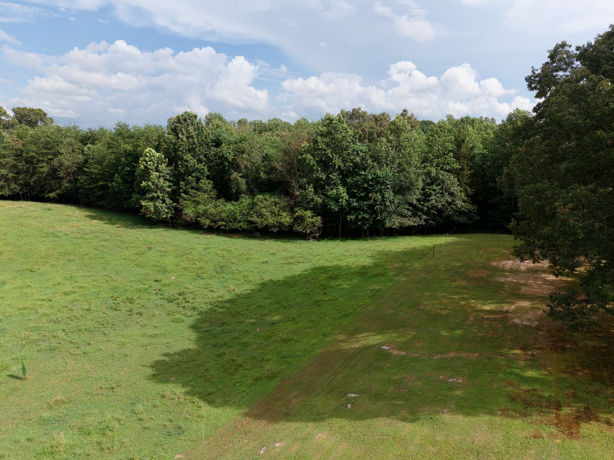 1 Barlow Road West Rock Island, TN 38581 - Photo 16 of 21 a view of a field with an trees