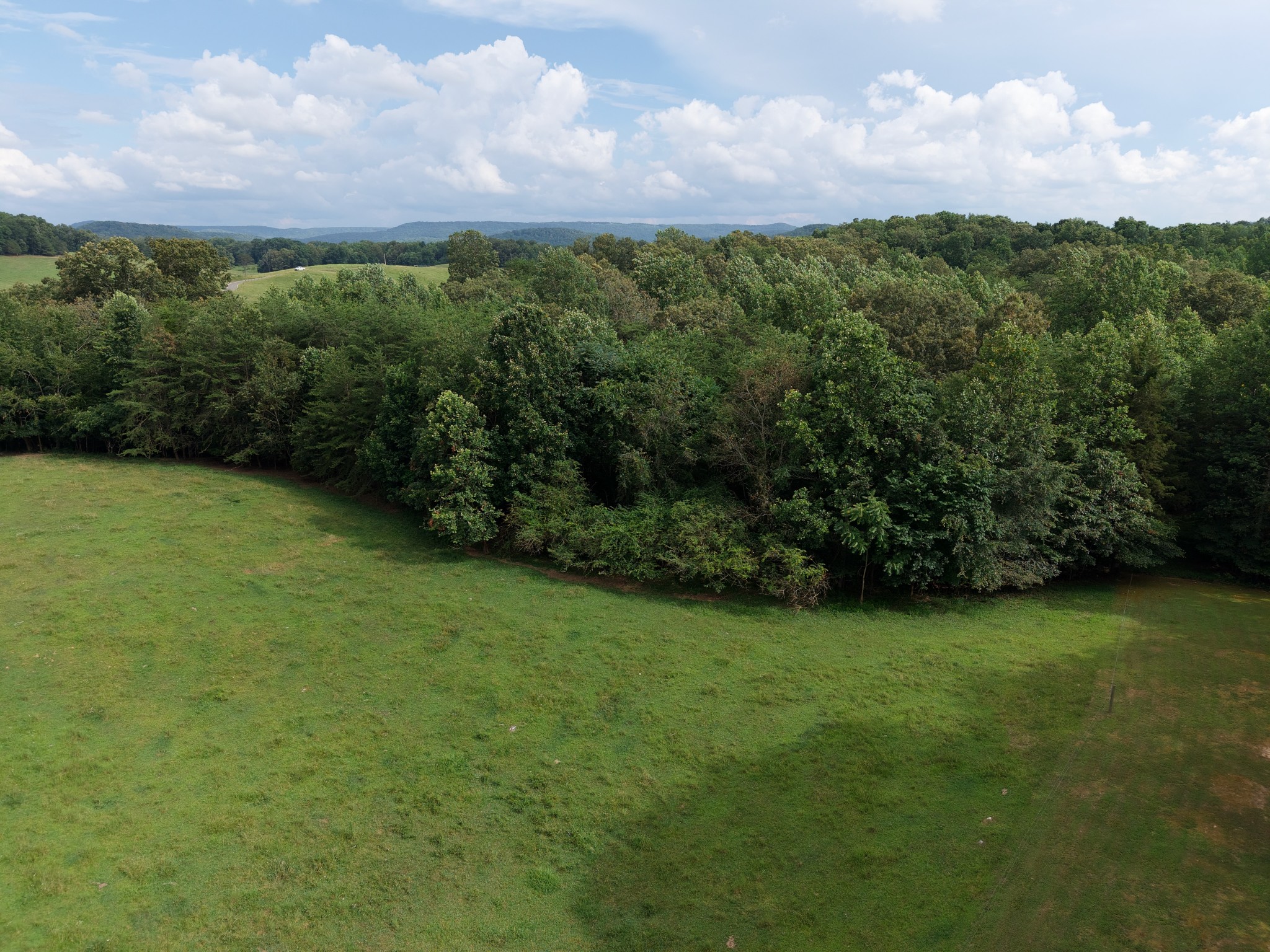 1 Barlow Road West Rock Island, TN 38581 - Photo 20 of 21 a view of a field with an trees