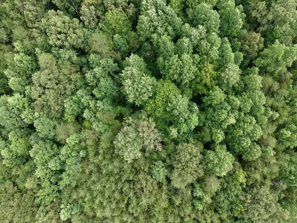 $89,000 | 1 Barlow Road West, Rock Island, TN 38581