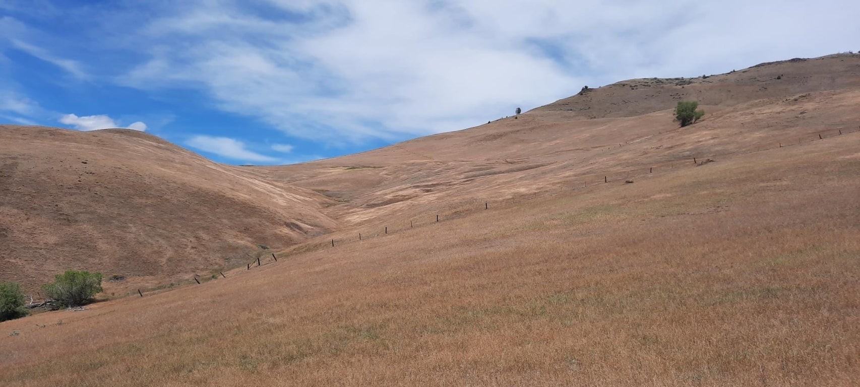 York Road Montague, CA 96064 - Photo 12 of 24 Gallery Image 12