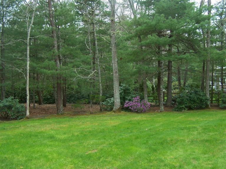 81 Leonard Road Osterville, MA 02655 - Photo 7 of 19 a view of a chair and a small yard