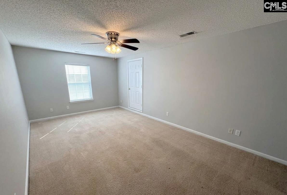 5 Redbrush Court Chapin, SC 29036 - Photo 22 of 36