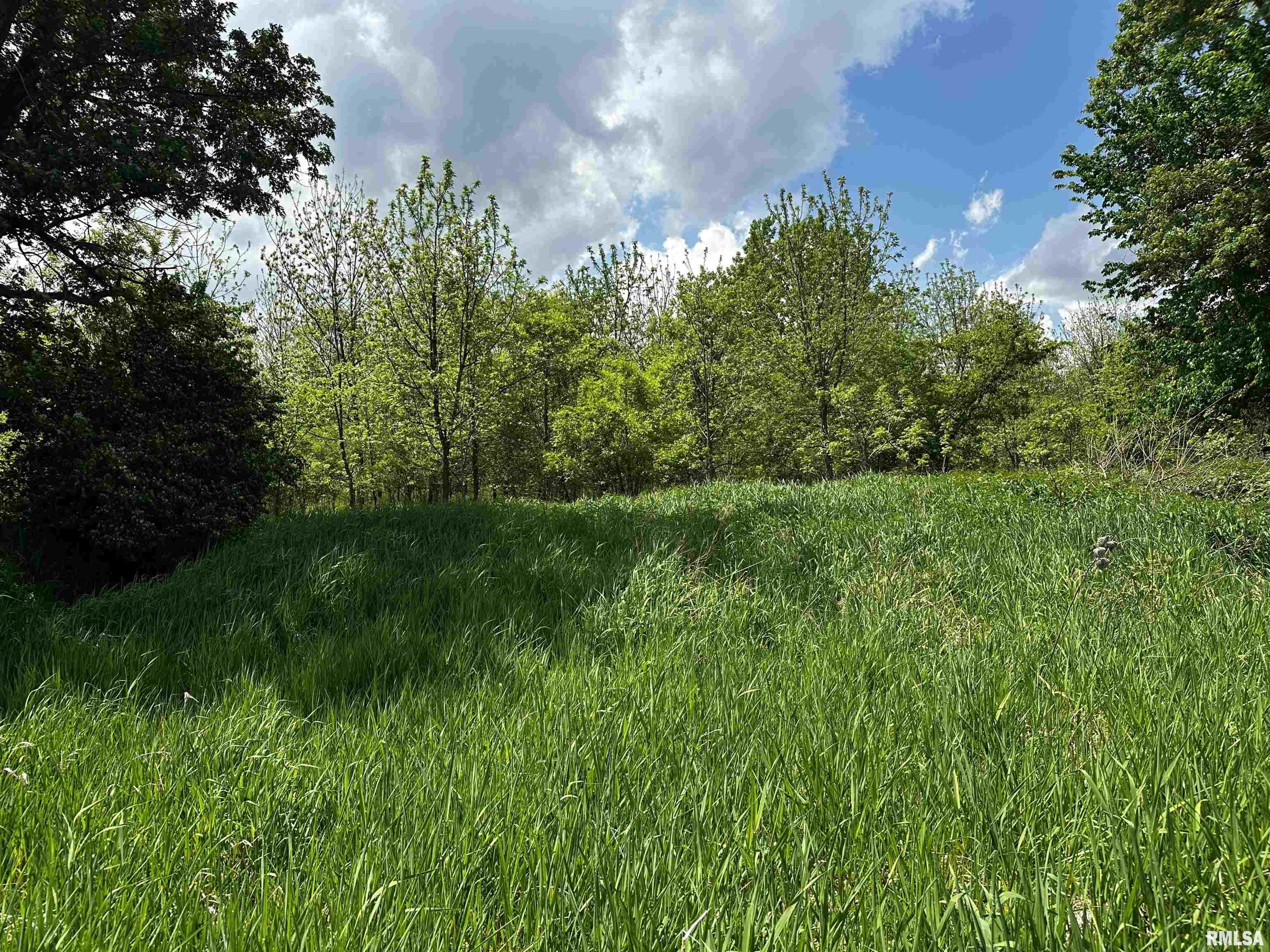 0 West Southport Road Peoria, IL 61614 - Photo 12 of 18