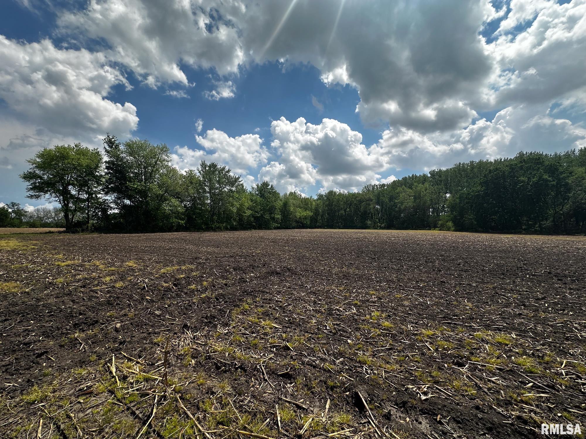 0 West Southport Road Peoria, IL 61614 - Photo 14 of 18