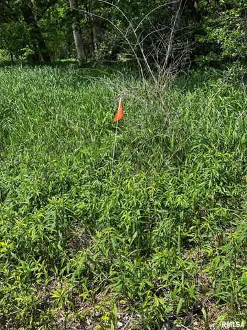 $749,900 | 0 West Southport Road, Peoria, IL 61614