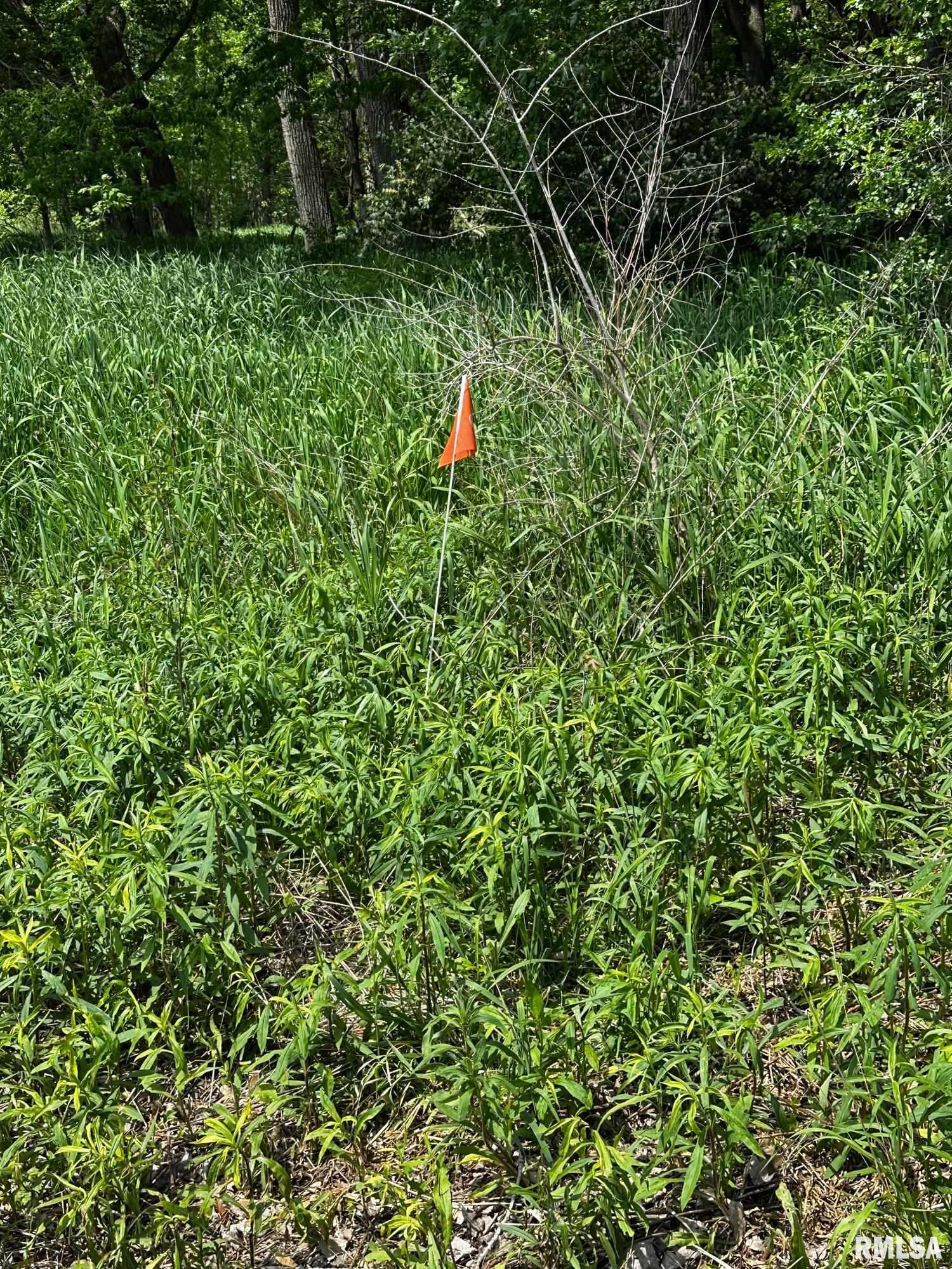 0 West Southport Road Peoria, IL 61614 - Photo 18 of 18