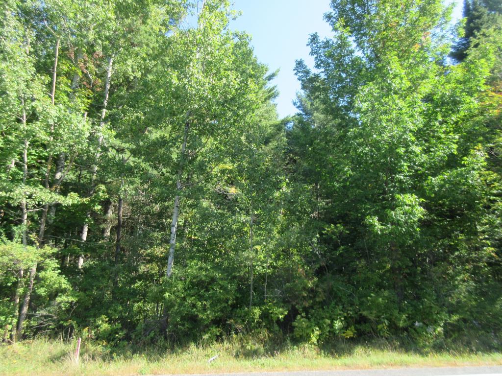 Lot 2 Vt Route Morgan, VT 05853 - Photo 3 of 3