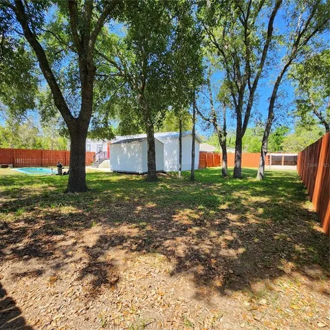 a view of backyard with tree