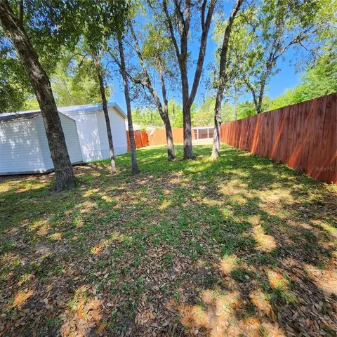a view of backyard with tree