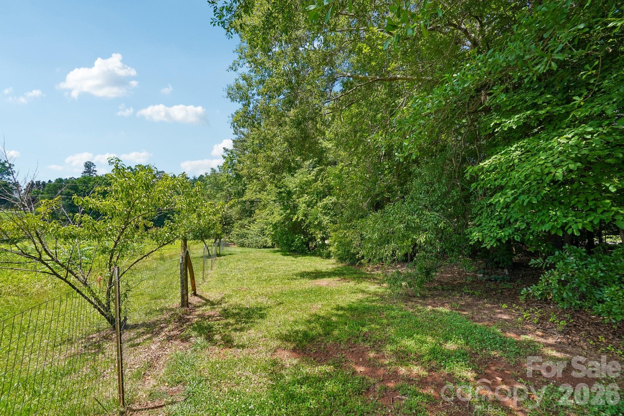 138 Woods End Road Rutherfordton, NC 28139 - Photo 42 of 46