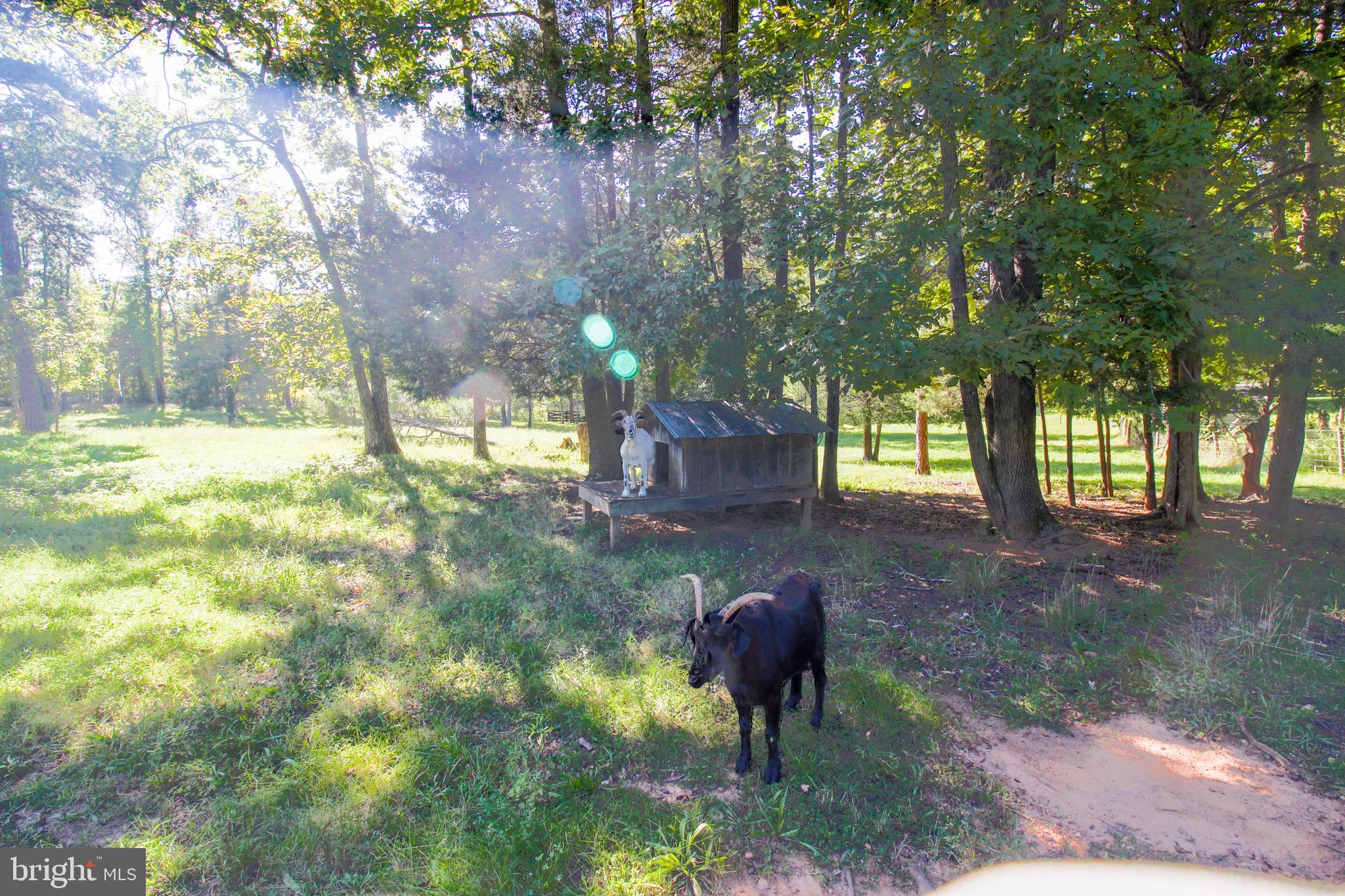 1711 Butler Road Beaverdam, VA 23015 - Photo 19 of 44