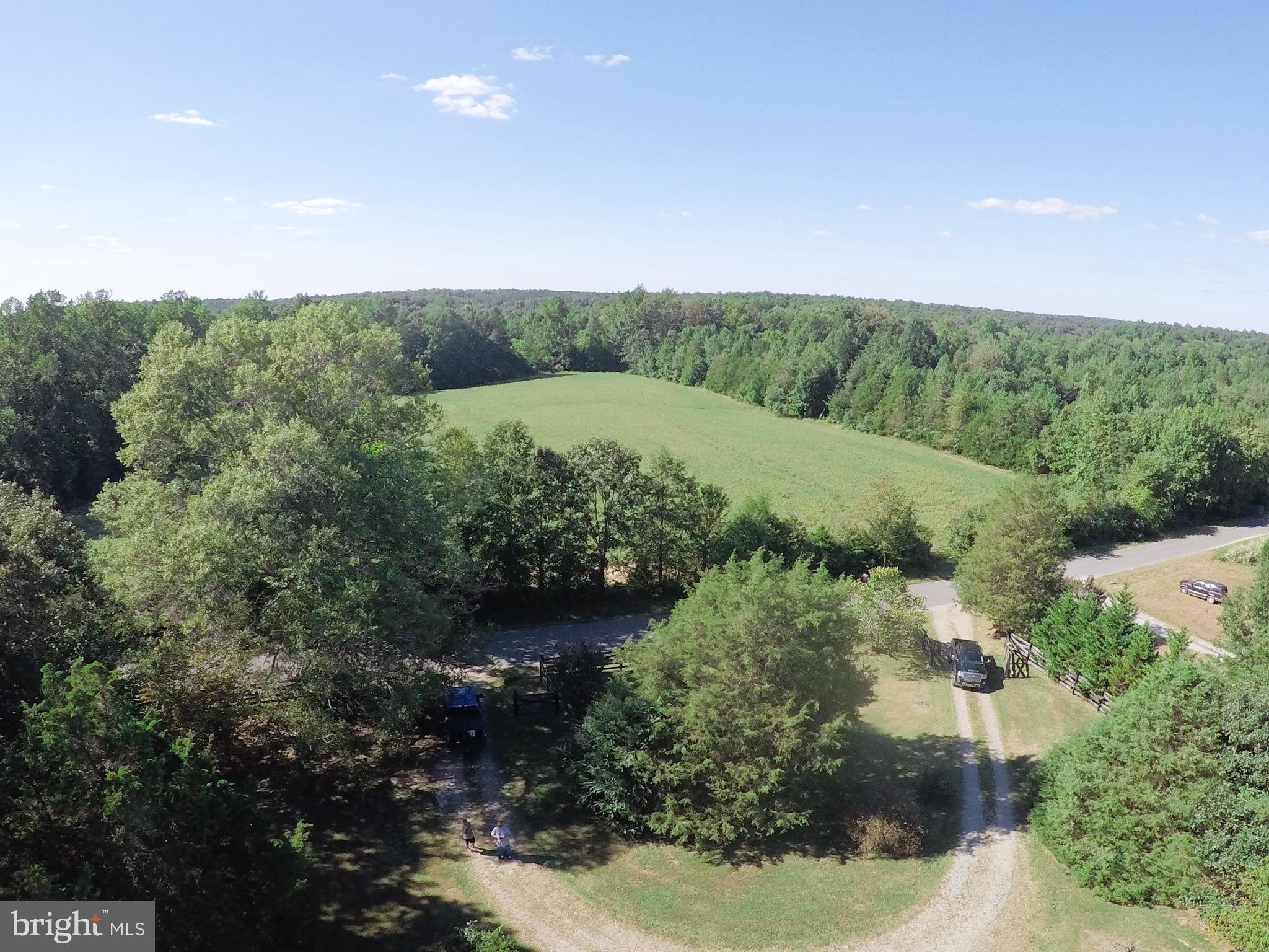 1711 Butler Road Beaverdam, VA 23015 - Photo 6 of 44