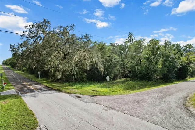 a backyard of a house with lots of green space