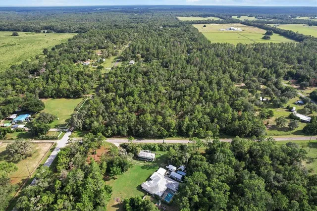 a view of a city with lush green forest