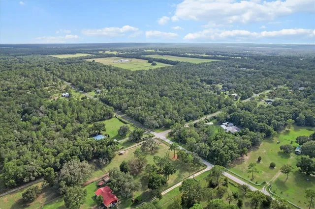 a view of a green field with lots of bushes