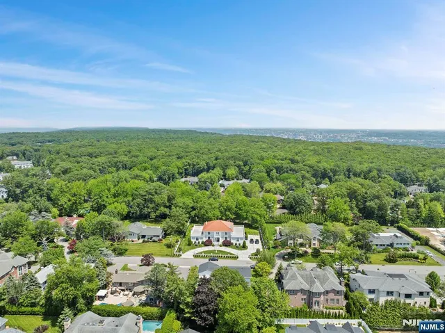an aerial view of residential houses with outdoor space and trees