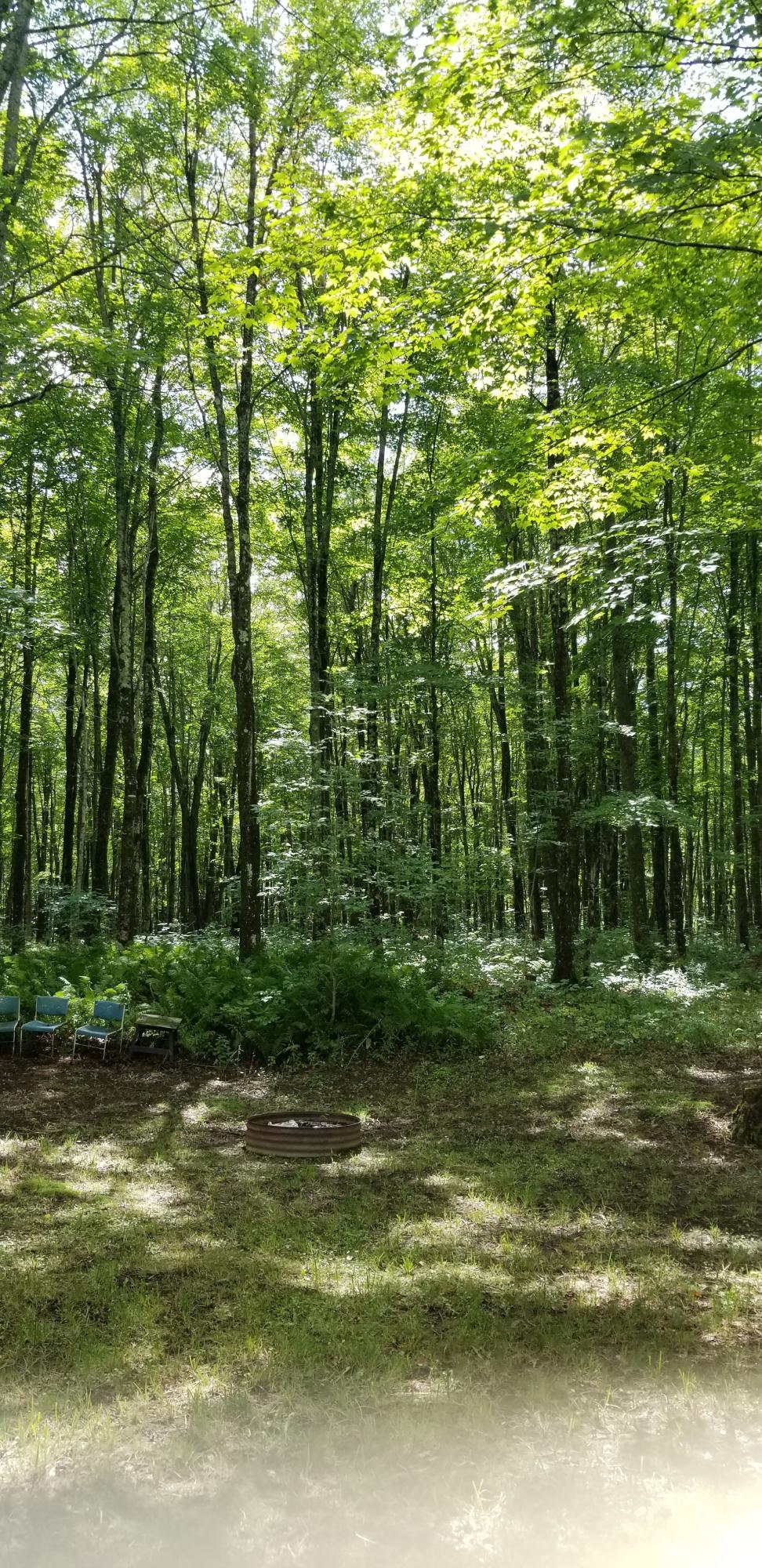 1523 Quarry Road Gulliver, MI 49840 - Photo 10 of 11 Gallery Image 10