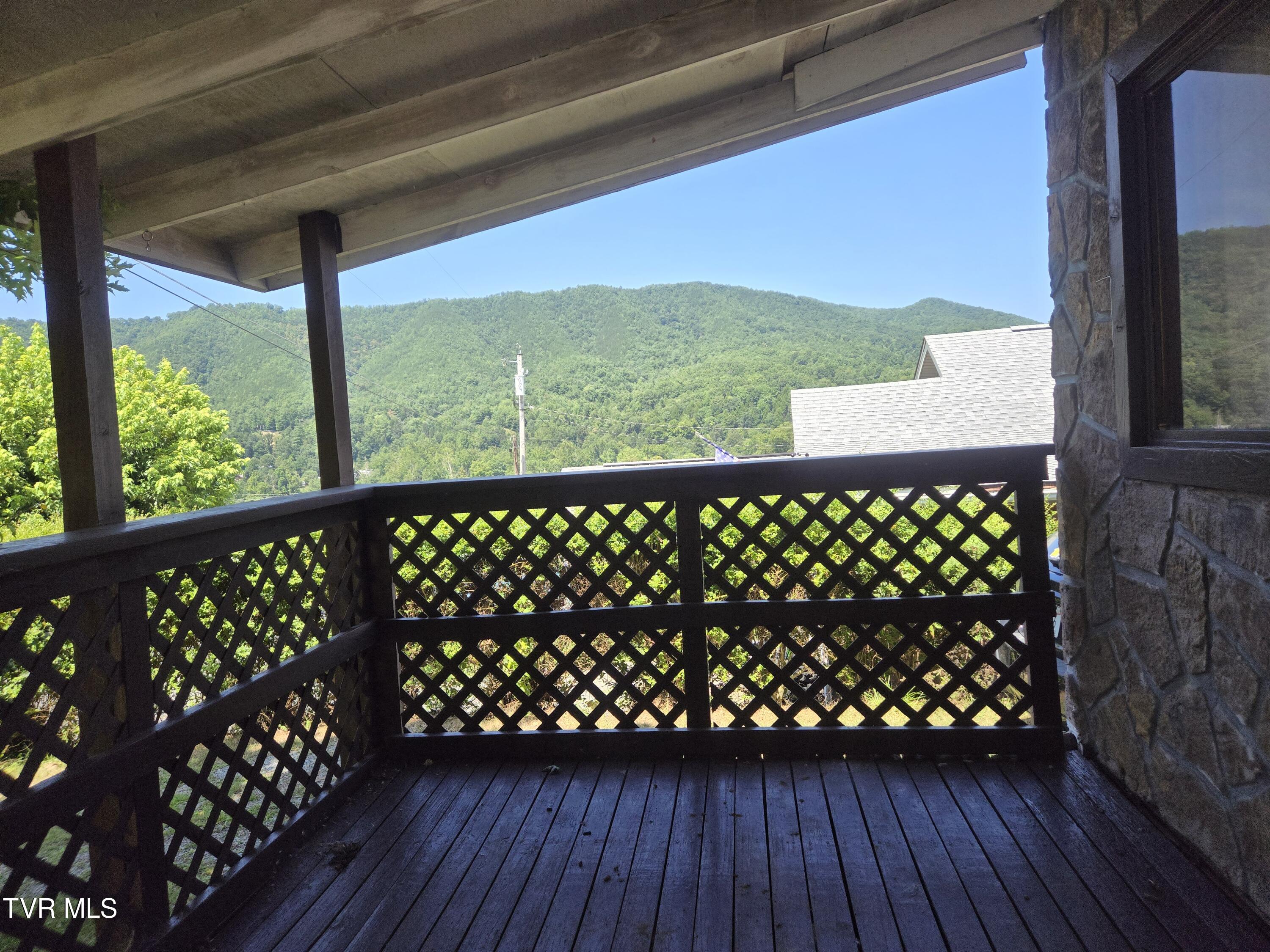 354 Mountain View Drive Hampton, TN 37658 - Photo 4 of 29 20240823_142231