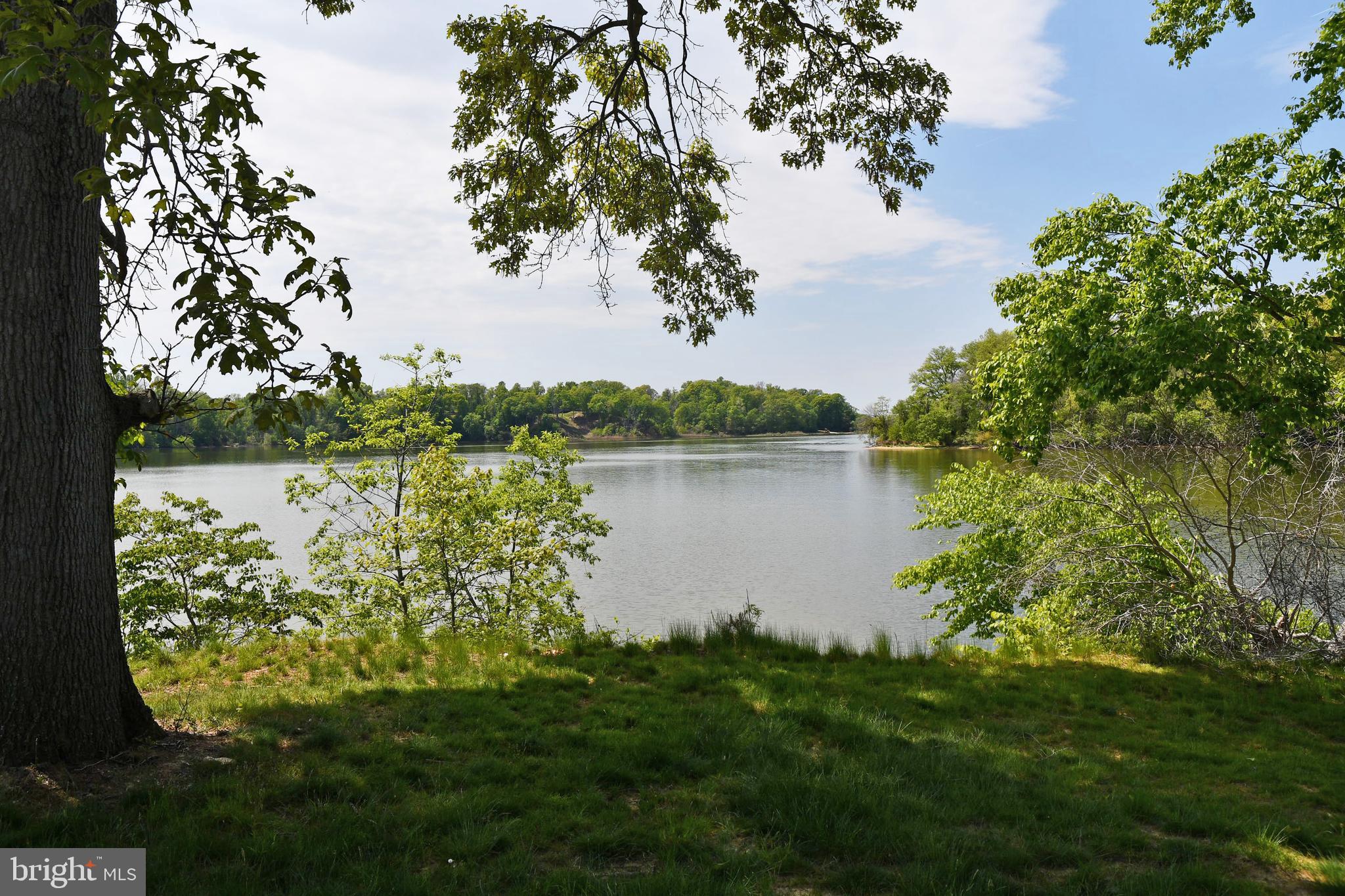 Lot 4 Knight Island Road Earleville, MD 21919 - Photo 8 of 15