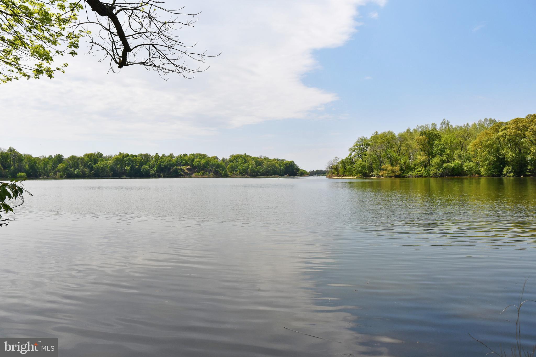 Lot 4 Knight Island Road Earleville, MD 21919 - Photo 9 of 15