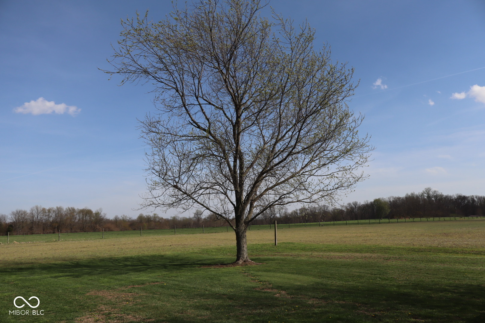 6303 West New Bethel Road Lexington, IN 47138 - Photo 7 of 43