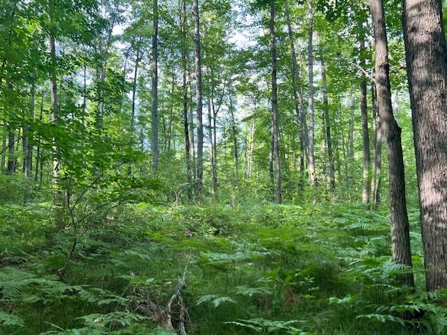 2191 Cedar Road Harrison, MI 48625 - Photo 29 of 30 Gallery Image 29