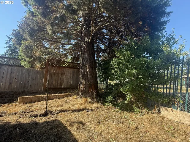 a backyard of a house with a tree