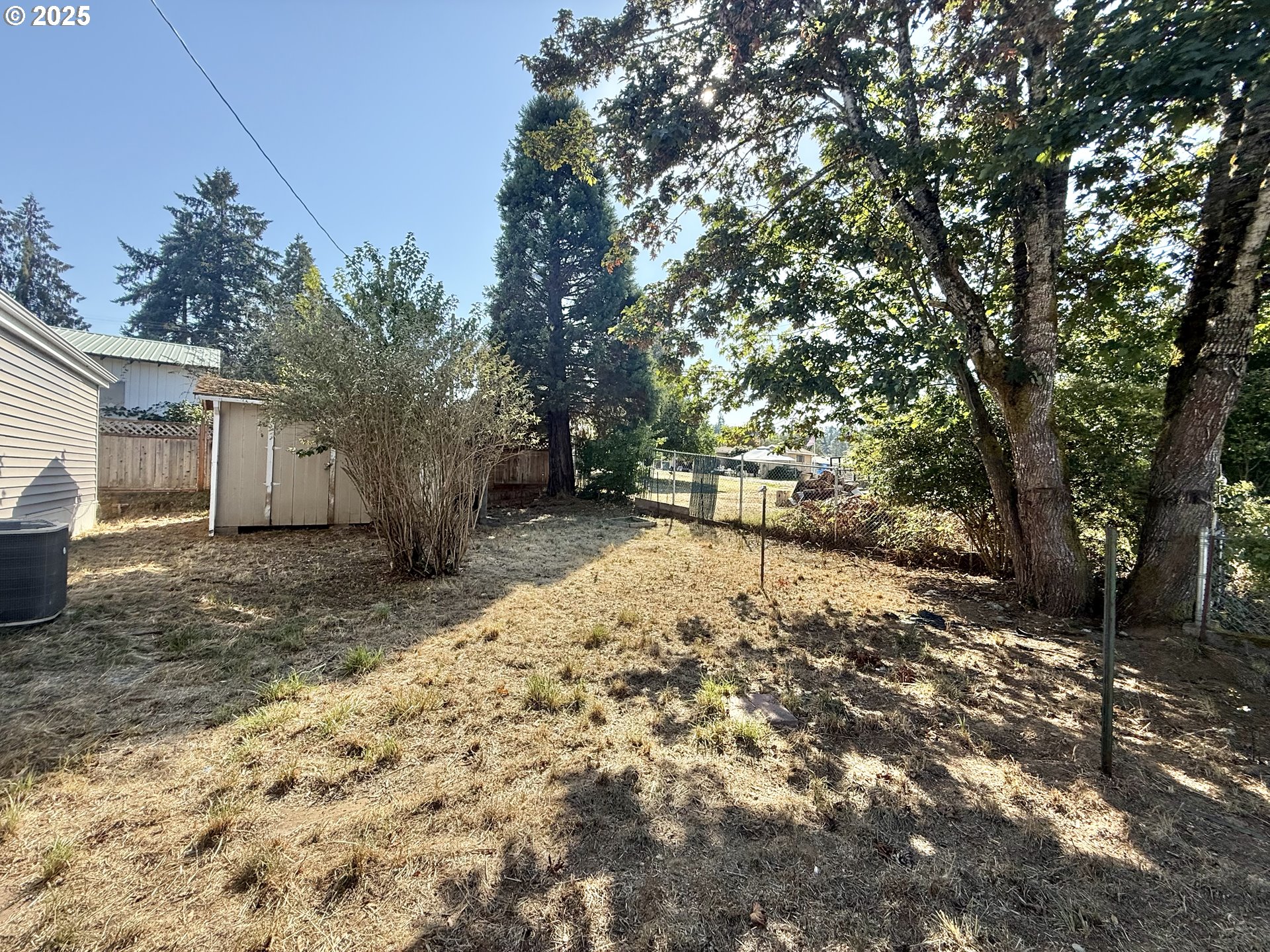 373 Hayhurst Road Yoncalla, OR 97499 - Photo 33 of 33 a view of a yard with large tree