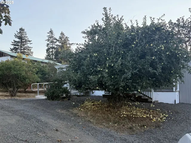 a view of outdoor space and yard