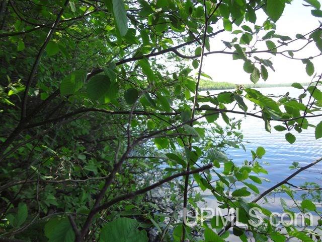 192 Tamarack Lake Road Iron River, MI 49935 - Photo 19 of 23