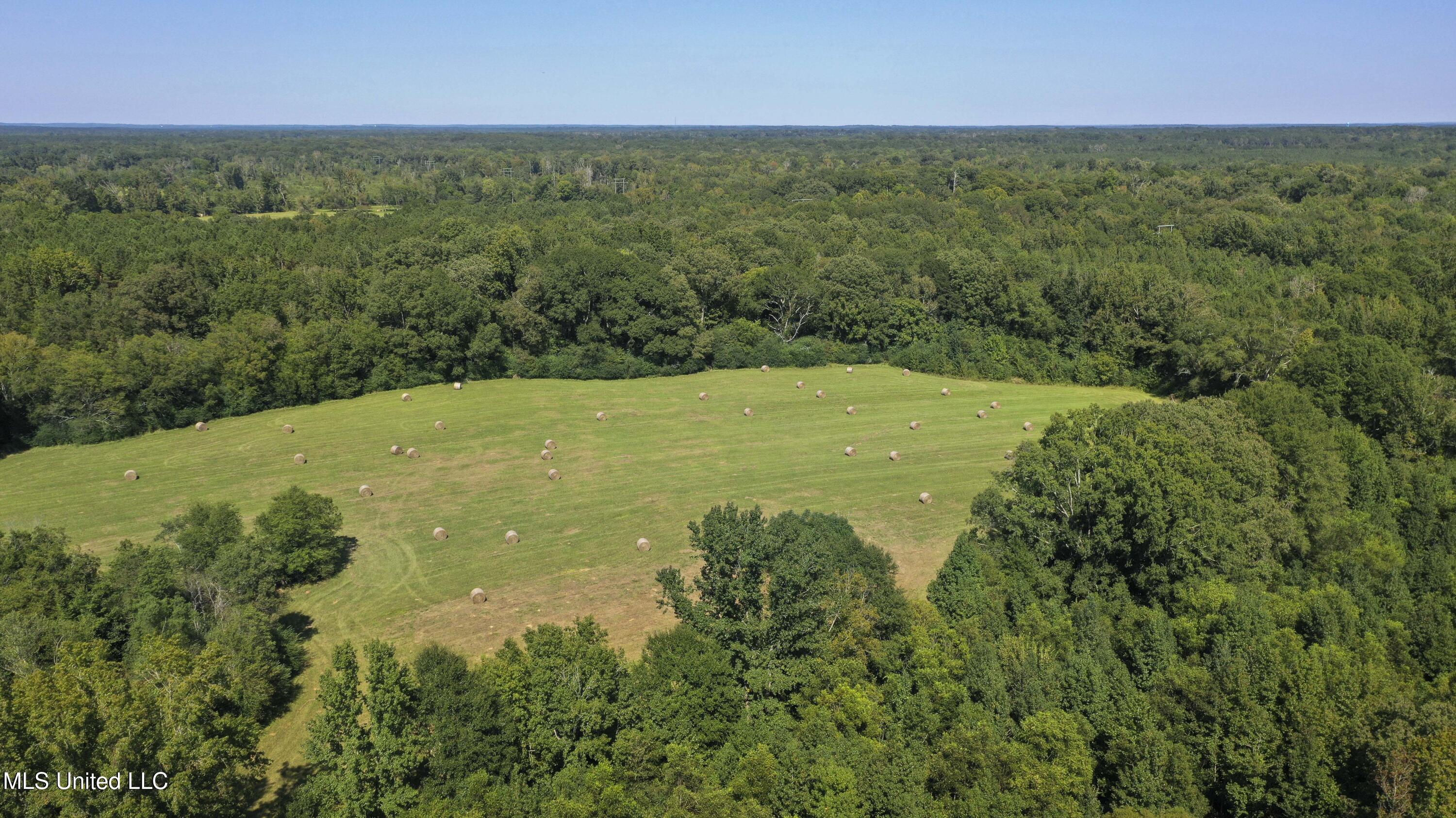 Clifton Road Forest, MS 39074 - Photo 14 of 25 Clifton Rd-60 Acres-12