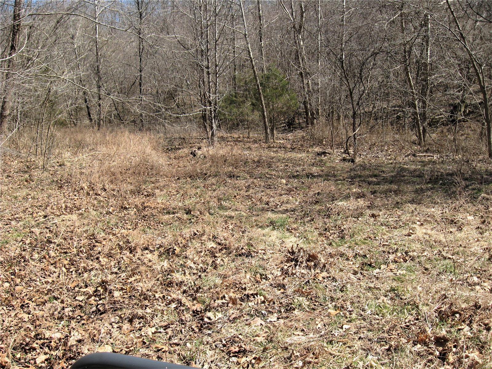 0 Superior Road St. Robert, MO 65584 - Photo 2 of 4