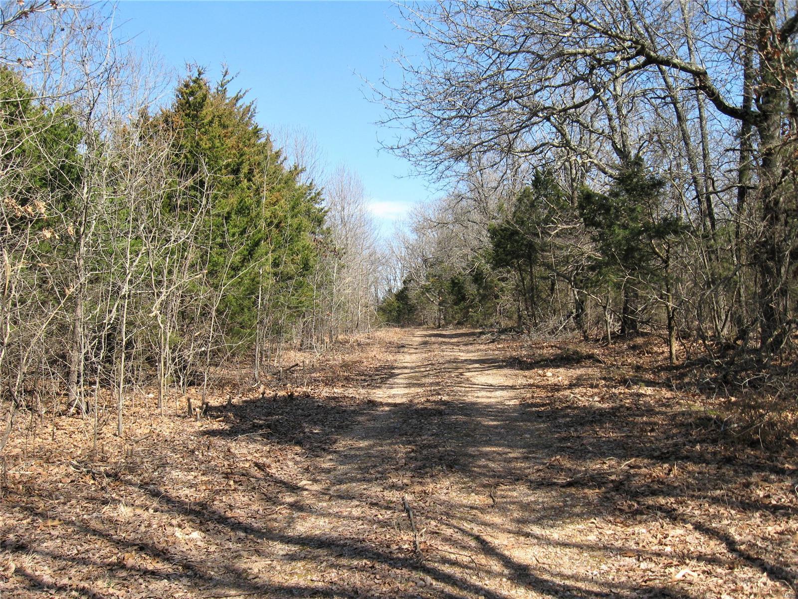 0 Superior Road St. Robert, MO 65584 - Photo 3 of 4