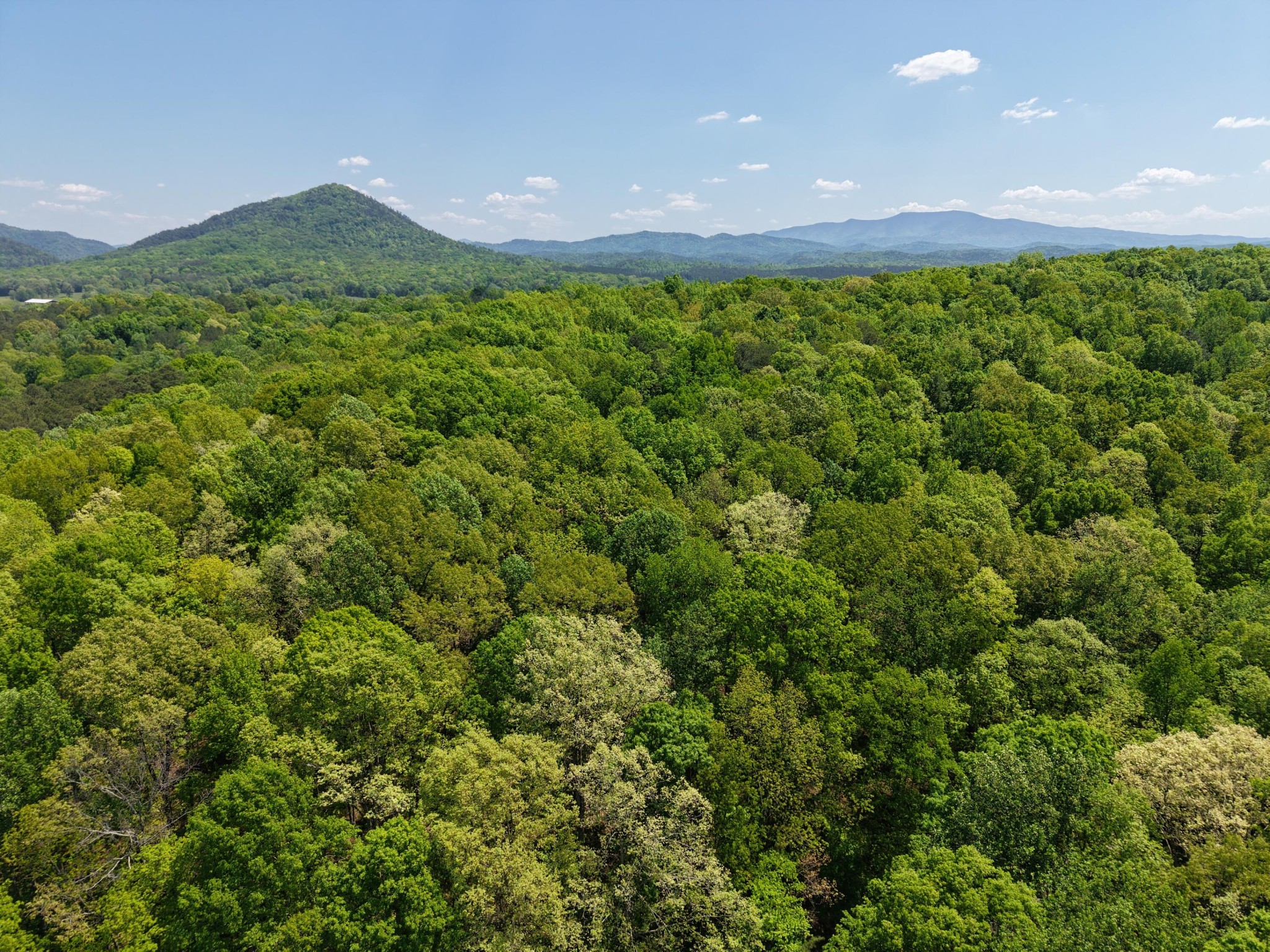 0 Sloans Gap Road Ocoee, TN 37361 - Photo 6 of 12