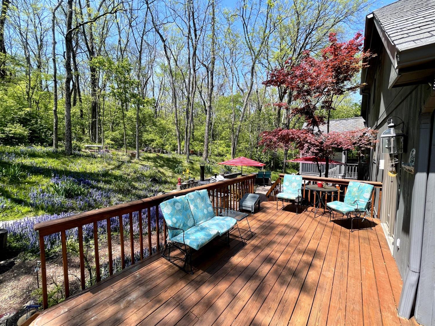 8286 Bridle Road Cincinnati, OH 45244 - Photo 5 of 48