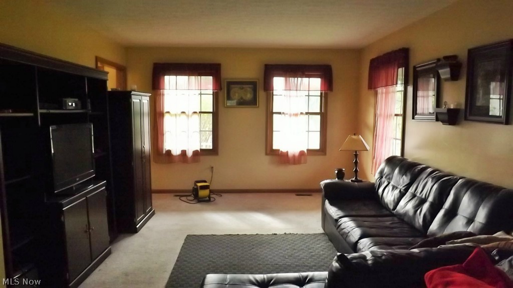 4469 Vandemark Road Litchfield, OH 44253 - Photo 7 of 20 Gallery Image 7