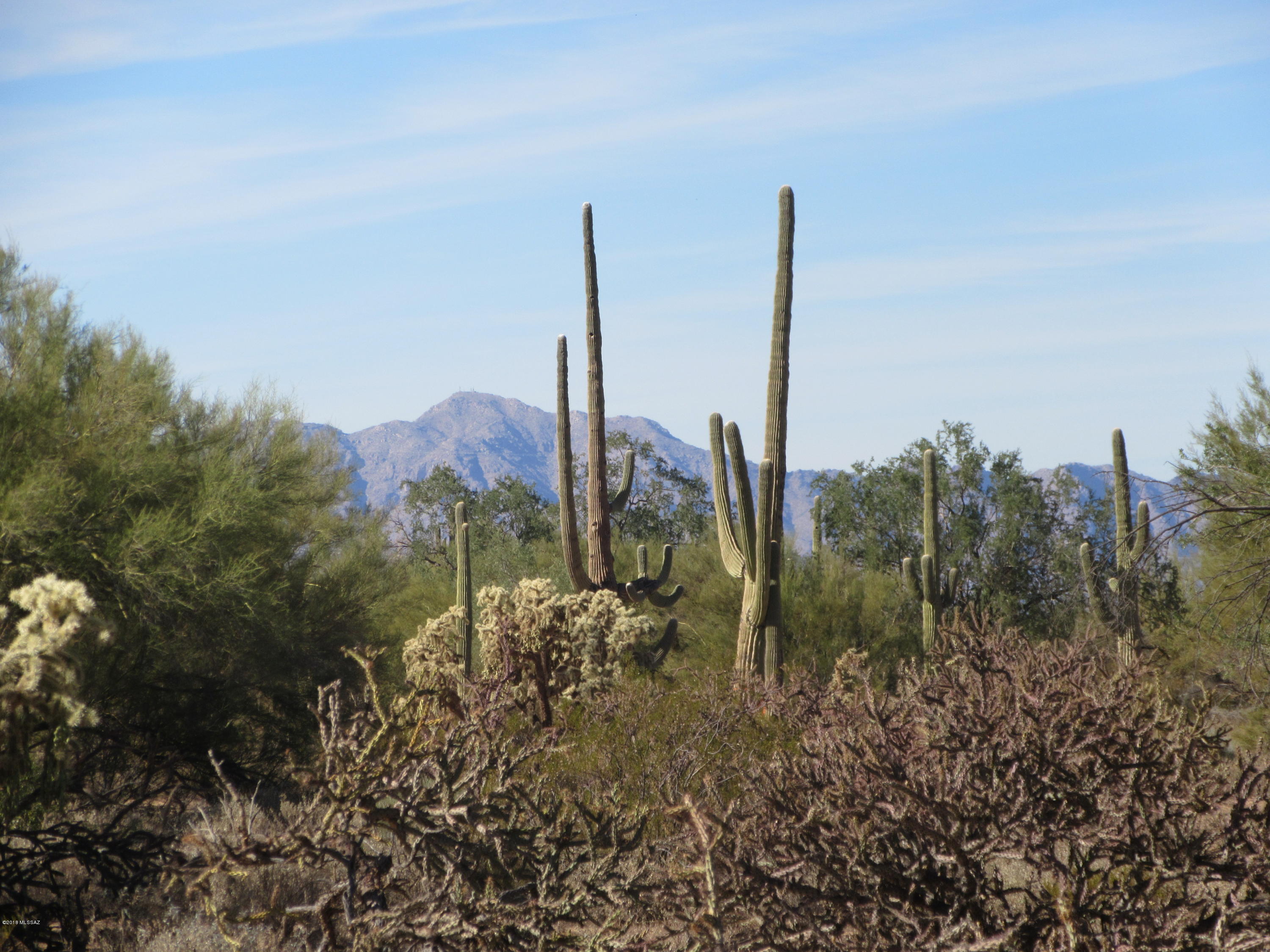 South Cattle Tank Road, Unit 20 Marana, AZ 85658 - Photo 2 of 20