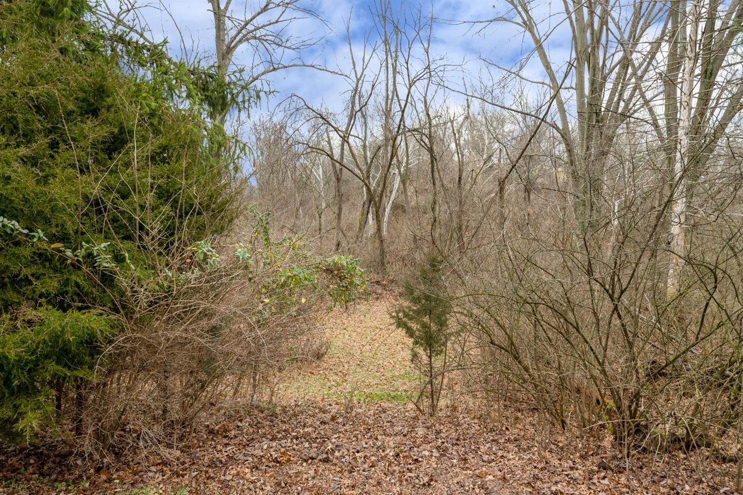7132 Bridgetown Road Cincinnati, OH 45248 - Photo 40 of 40 Gallery Image 40
