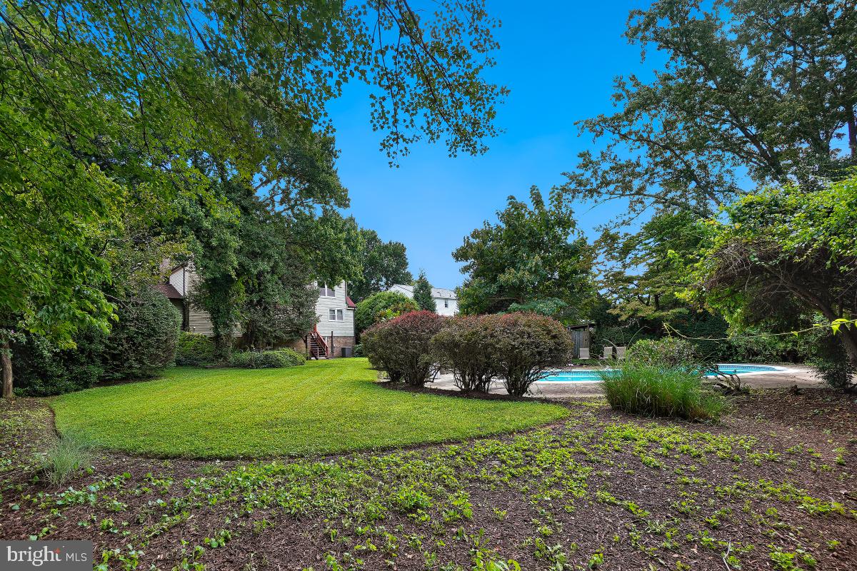 14320 Cantrell Road Silver Spring, MD 20905 - Photo 6 of 45