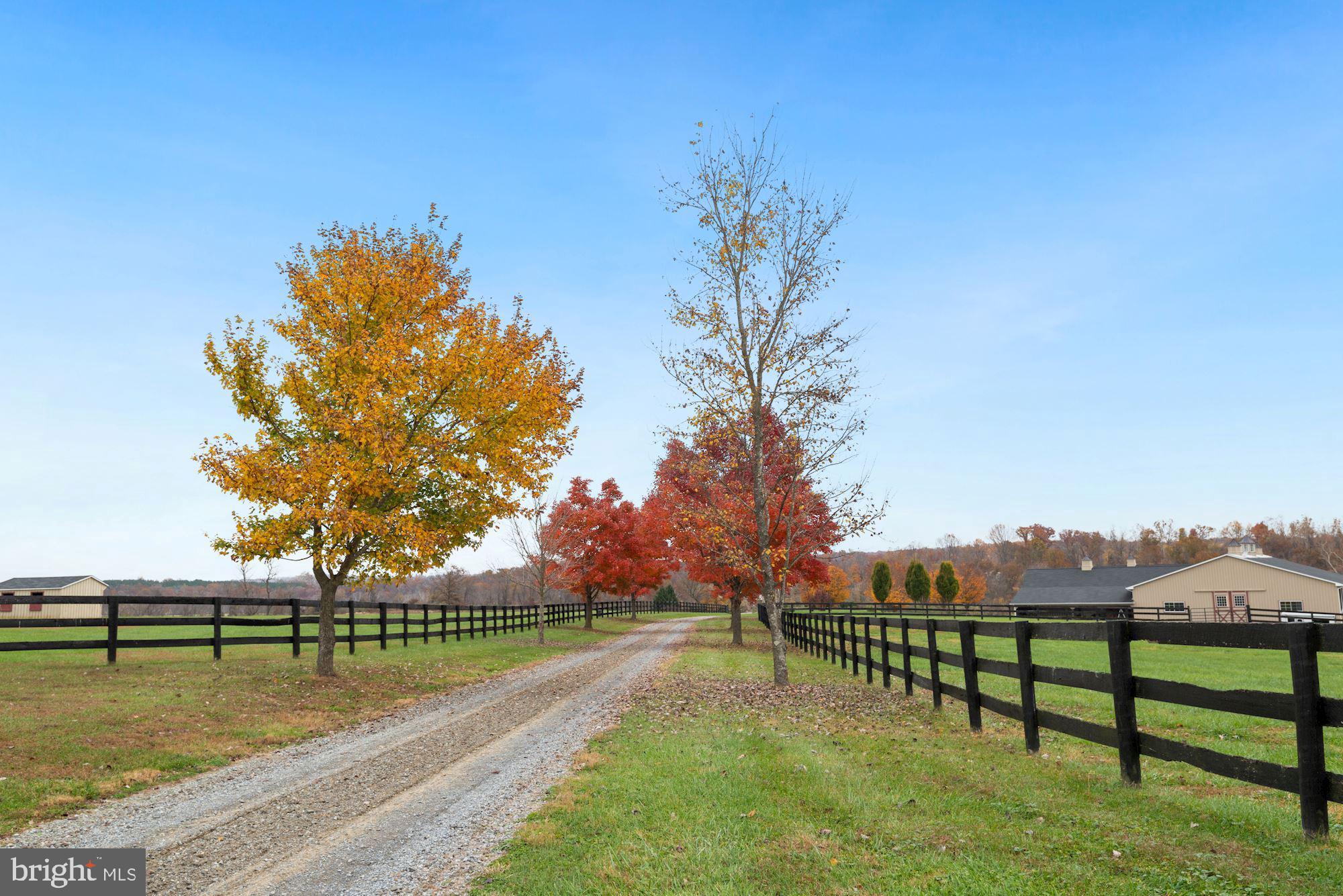 21232 Unison Road Middleburg, VA 20117 - Photo 101 of 123
