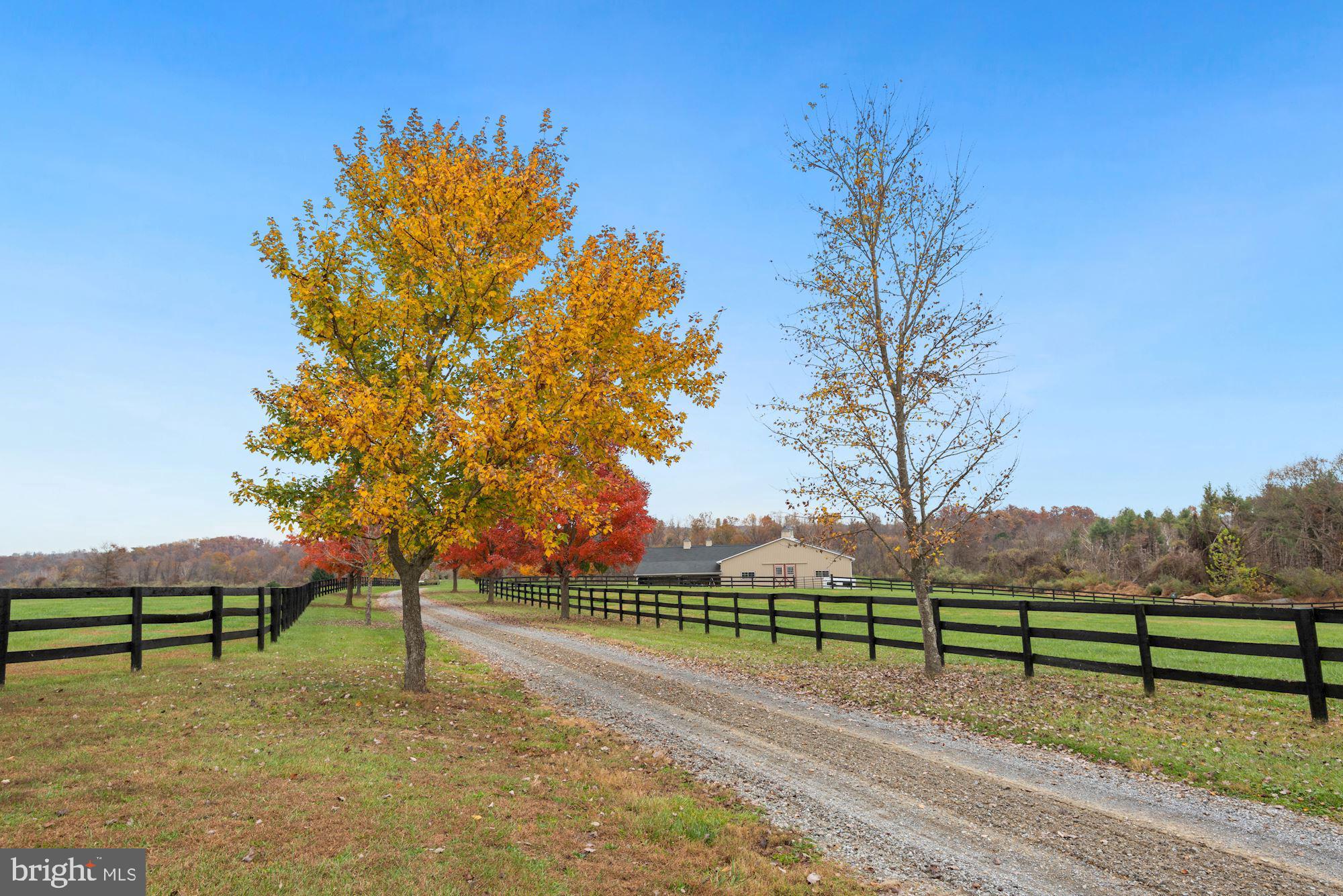 21232 Unison Road Middleburg, VA 20117 - Photo 102 of 123
