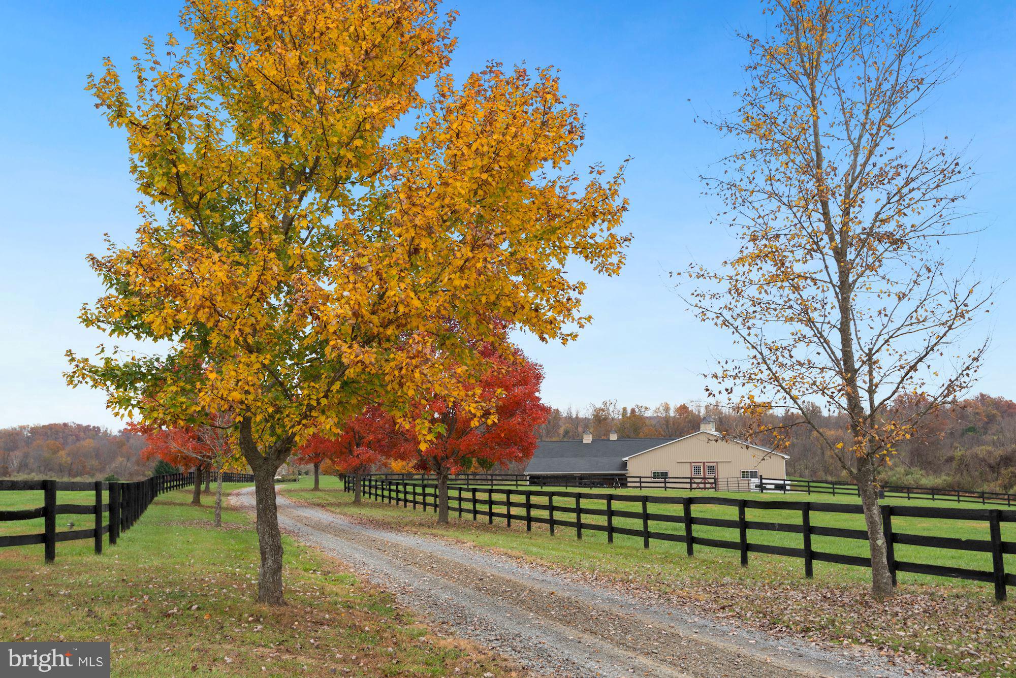 21232 Unison Road Middleburg, VA 20117 - Photo 103 of 123