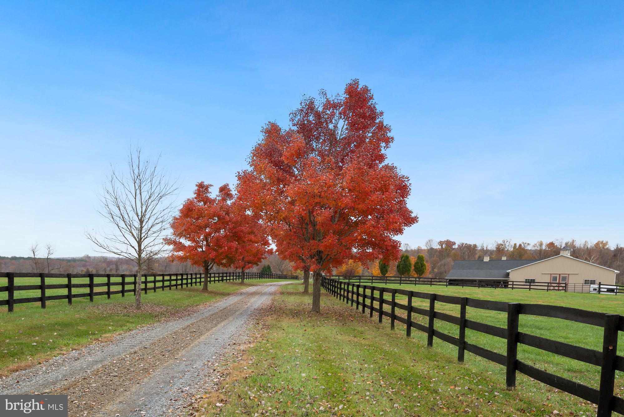 21232 Unison Road Middleburg, VA 20117 - Photo 105 of 123