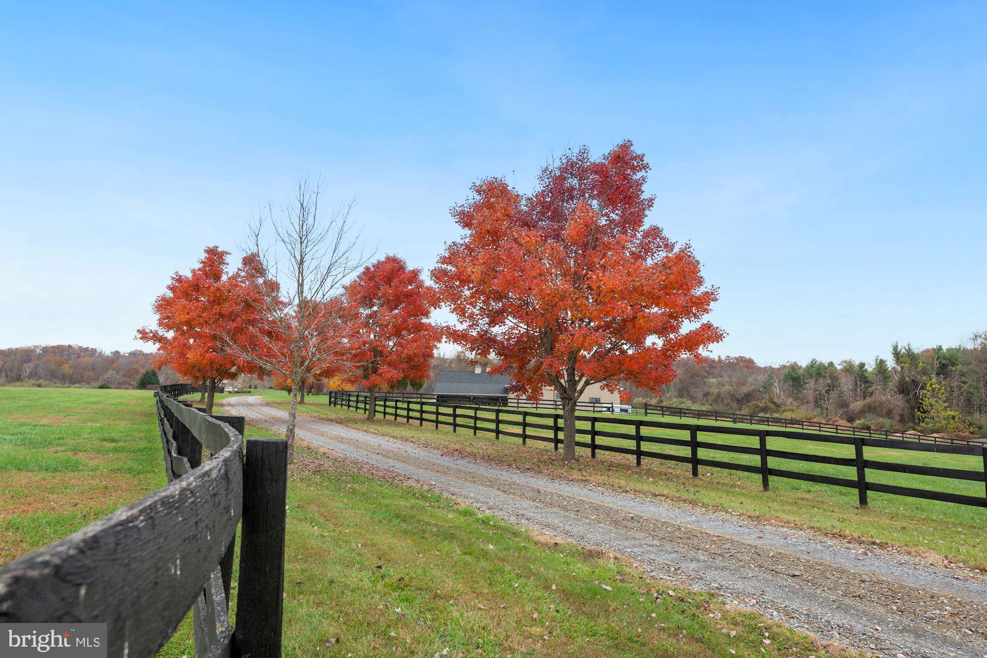 21232 Unison Road Middleburg, VA 20117 - Photo 106 of 123