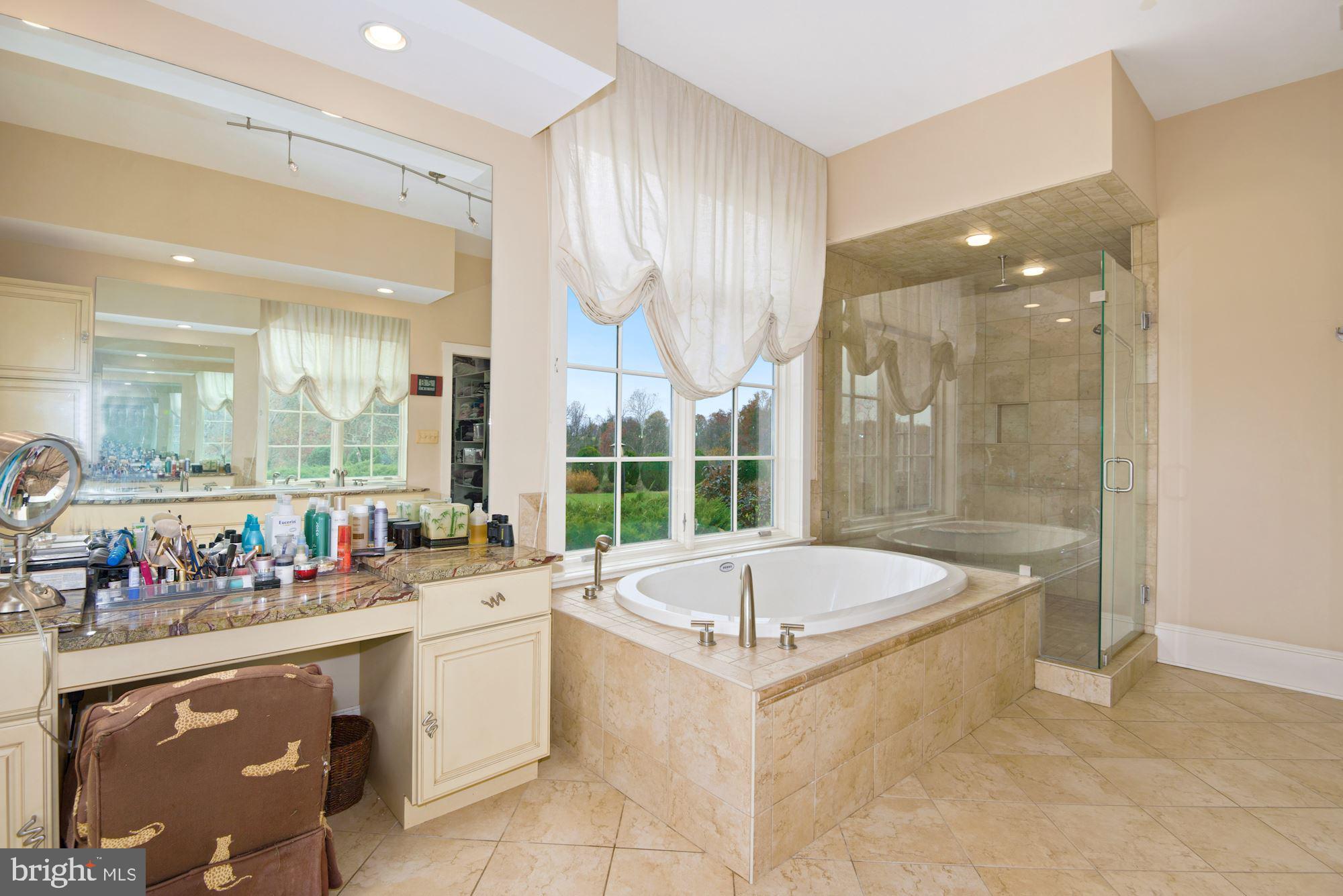 21232 Unison Road Middleburg, VA 20117 - Photo 33 of 123 Primary soaking tub