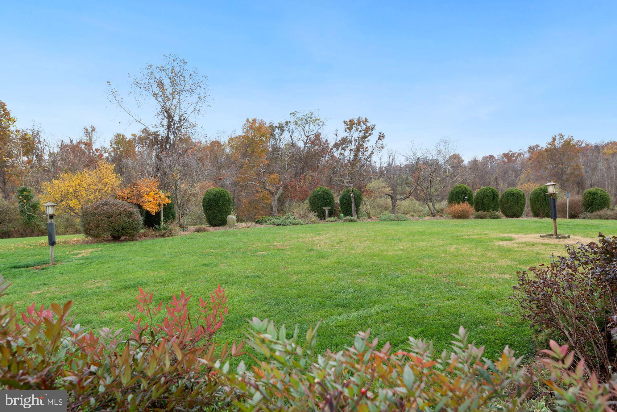 21232 Unison Road Middleburg, VA 20117 - Photo 53 of 123 View from back stone terrace looking East