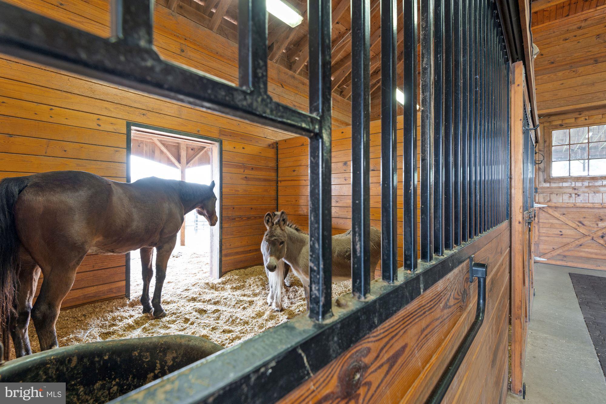 21232 Unison Road Middleburg, VA 20117 - Photo 68 of 123 4-stall stable