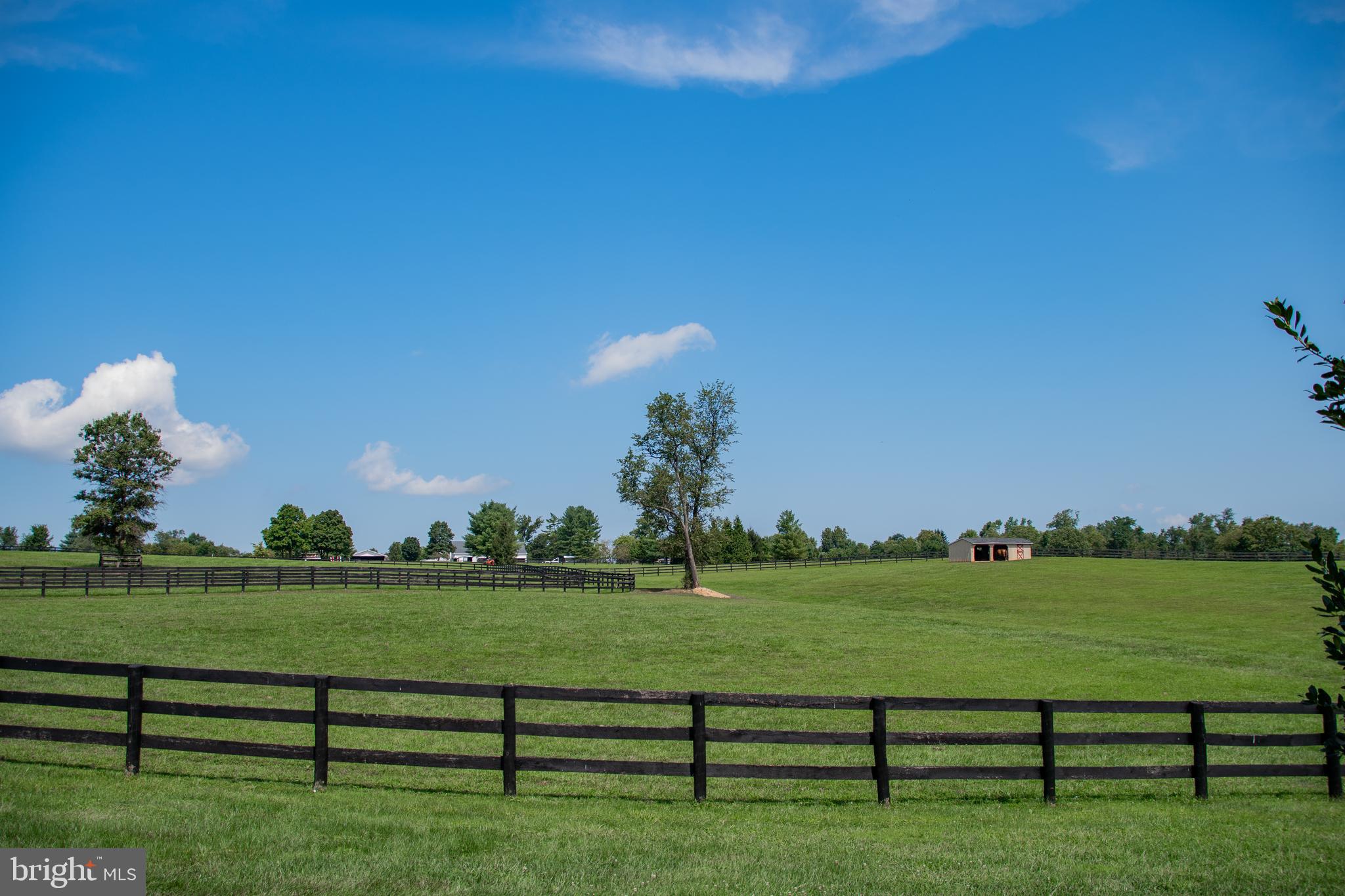 21232 Unison Road Middleburg, VA 20117 - Photo 89 of 123